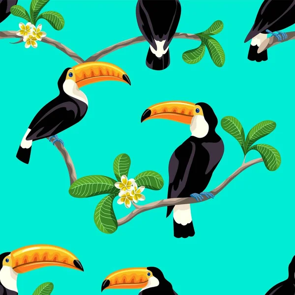 Pássaro tucano na floresta tropical. fundo sem costura —  Vetores de Stock