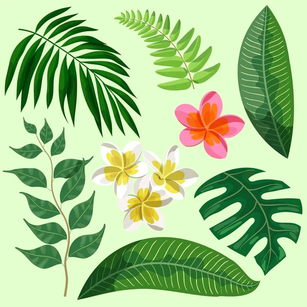 Trópusi növények levelei és virágai. színes illusztrációk halmaza — Stock Vector