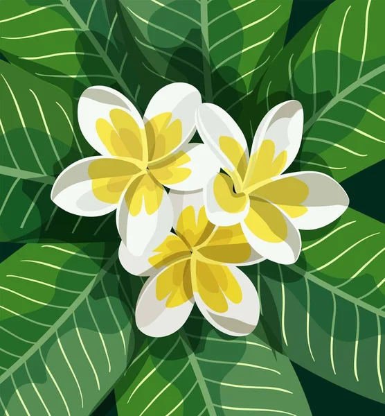 Hojas y flores de plantas tropicales. conjunto de ilustraciones a color — Archivo Imágenes Vectoriales