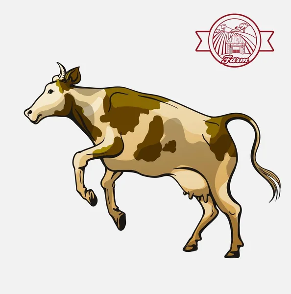 Αγελάδα αναπαραγωγής. κτηνοτροφία. απεικόνιση ζωικού κεφαλαίου σε λευκό — Διανυσματικό Αρχείο