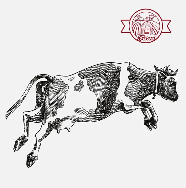 Chovná kráva. chov zvířat. ilustrace dobytka na šedé — Stockový vektor