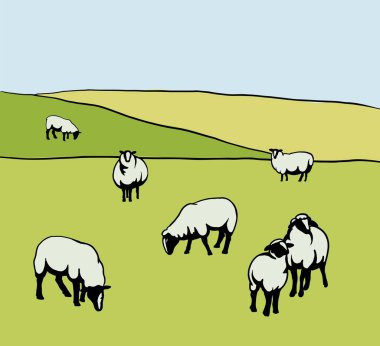 Koyun yetiştiriciliği. Meadow arka planında basit vektör çizimleri kümesi