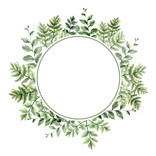 घास और पौधे के पत्तों के ब्लेड। एक सफेद पर रंग चित्रों का सेट — स्टॉक फ़ोटो, इमेज
