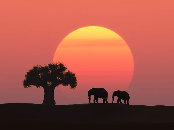 Two elephants at sunset — Stock Photo, Image