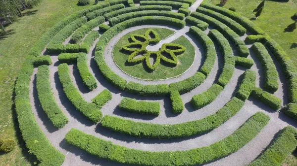 Green maze in garden. Aerial view