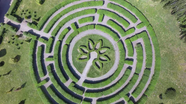 Green maze in garden. Aerial view