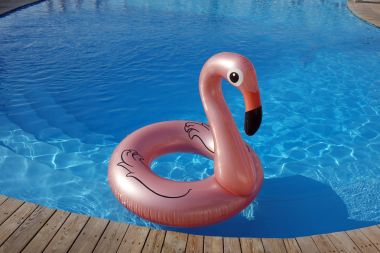 Havuzda şişme flamingolar