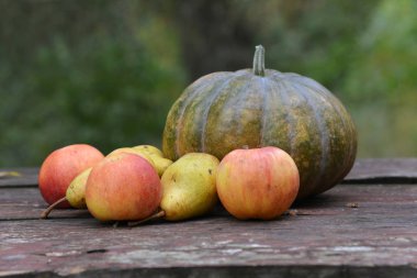 kabak, elma, armut bahçe içinde bir tablo