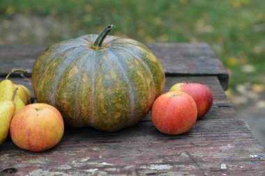 kabak, elma, armut bahçe içinde bir tablo