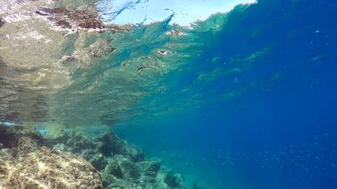 doğal su altında arka plan, Akdeniz