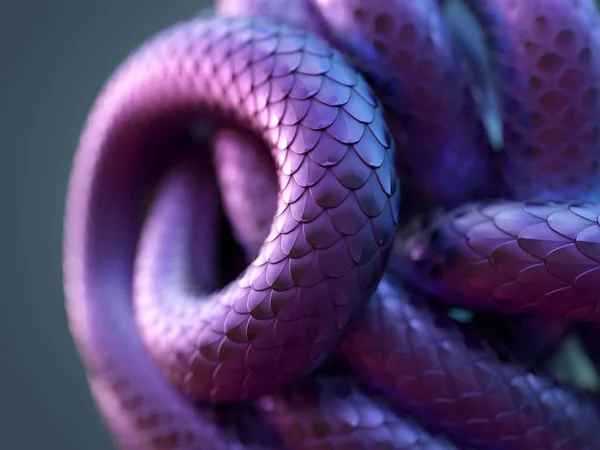 Snake Body Curled Ball — Stock Photo, Image