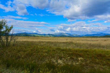 Peyzaj alanları ve Ukrayna Dağları