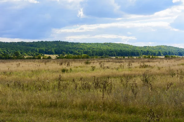 Die Landschaft der Felder und Berge in der Westukraine — Stockfoto