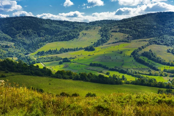Yılan gibi dağ yollarında ve dağ vadilerinde Ukrayna