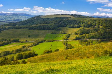 Yılan gibi dağ yollarında ve dağ vadilerinde Ukrayna
