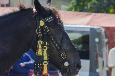 Köyde kostümlü karnaval kutlamaları Batı Ukrayna