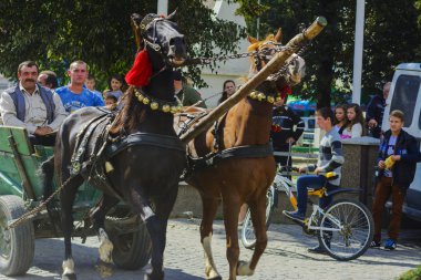 Köyde kostümlü karnaval kutlamaları Batı Ukrayna