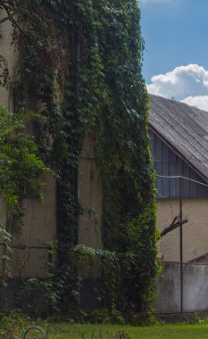 Bir özel ev bahçesinde Tasarla