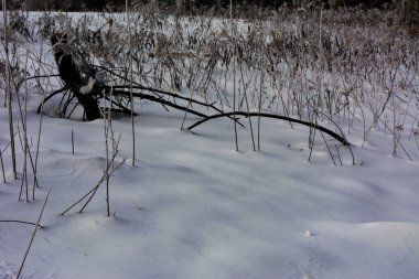 Sınıf öğrencisi temizlenmiş ilk kar düştü