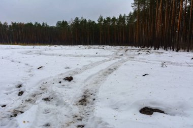 Orman yolu ve iz kış ormanda eridi