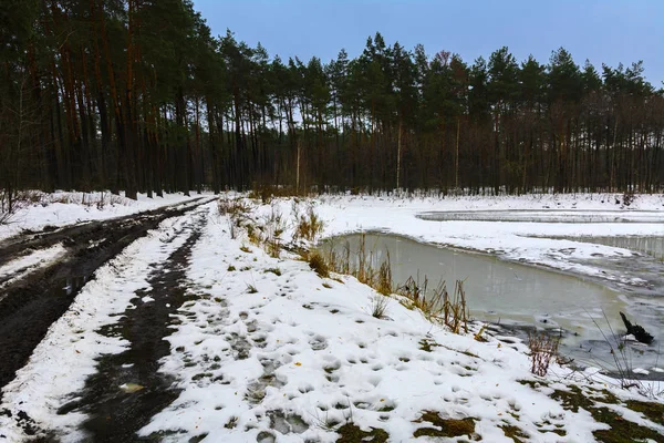 Forest Lake in het ijs gesmolten en het wandelpad in het bos van de winter — Stockfoto