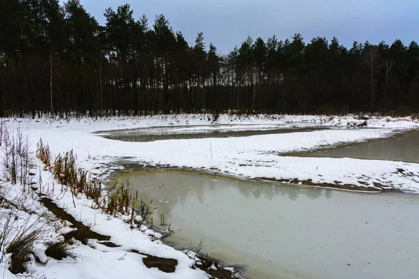 Forest Lake in het ijs gesmolten en het wandelpad in het bos van de winter — Stockfoto