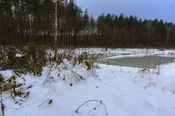 Forest Lake in het ijs gesmolten en het wandelpad in het bos van de winter — Stockfoto