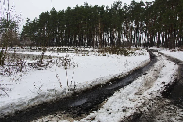 Route forestière et sentier fondus dans la forêt d'hiver — Photo