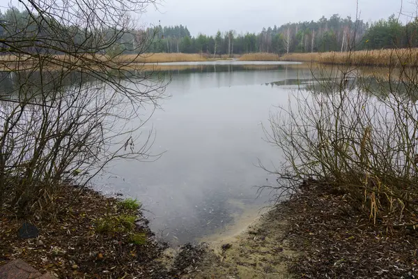 Un petit lac près de la maison privée en bois — Photo