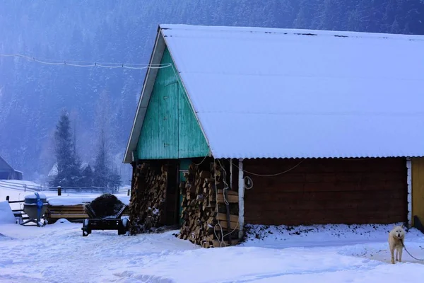 Die Gestaltung eines Privathauses in einer bergigen Gegend im Winter — Stockfoto