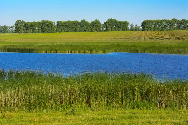 Un hermoso lago para la cría de peces. Magnífica vista del lago — Foto de Stock