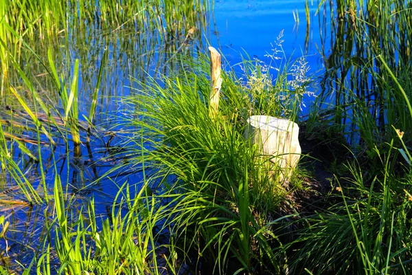 Um belo lago para reprodução de peixes. Vista magnífica do lago — Fotografia de Stock