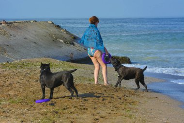 Rottweiler köpek ve onun metresi su 