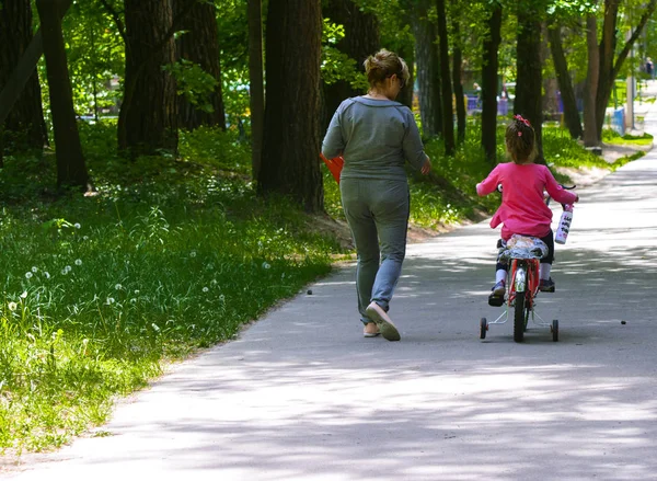 Dabushka ve torunu şehir parkta Bisiklete binmek. 