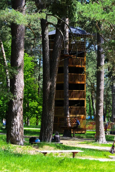 Zincir kavşaklarda yaz şehir parkında. 28 Mayıs 2017.