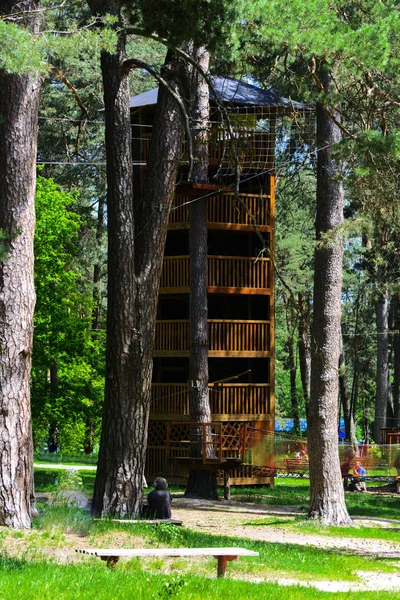 Zincir kavşaklarda yaz şehir parkında.  