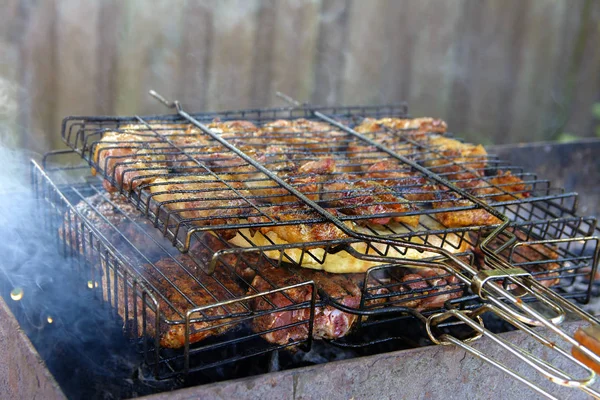 Shish kebab appétissant cuit sur les charbons des arbres fruitiers. Augus — Photo
