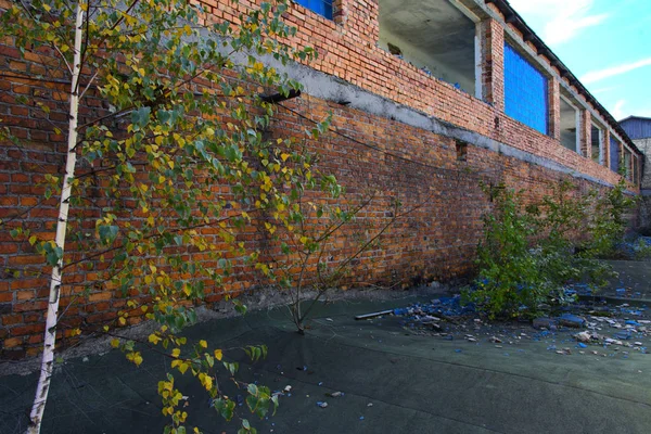 Yıkılan binanın çalıştı fabrika atölye 