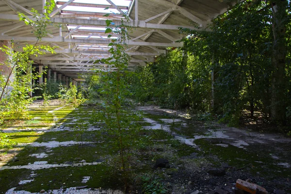 Den förstörda byggnaden av fabriken verkstaden som arbetade — Stockfoto