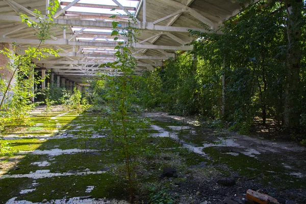 Yıkılan binanın çalıştı fabrika atölye 