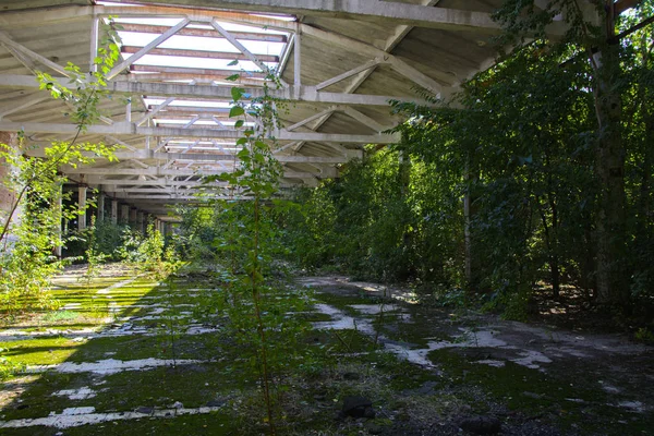 Den förstörda byggnaden av fabriken verkstaden som arbetade — Stockfoto