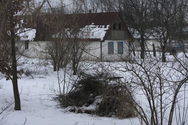 Opuszczony Stary Dom Mieszkalny Tle Zarośnięte Krzewy Biały Śnieg Ruiny — Zdjęcie stockowe