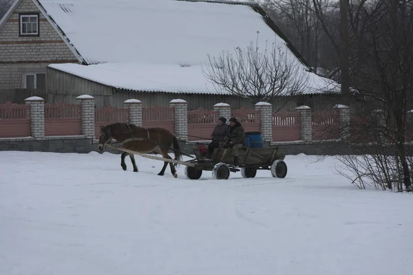 One Horse Drags Wooden Cart People Who Take Milk Reception — Stock Photo, Image