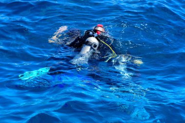 Dalgıçlar açık ve turkuaz Kızıldeniz daldırma güzel mercan ve renkli balık üzerinde. Öğretmen öğrenci suya daldırma kuralları öğretir.. 