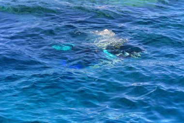 Dalgıçlar açık ve turkuaz Kızıldeniz daldırma güzel mercan ve renkli balık üzerinde. Öğretmen öğrenci suya daldırma kuralları öğretir.. 