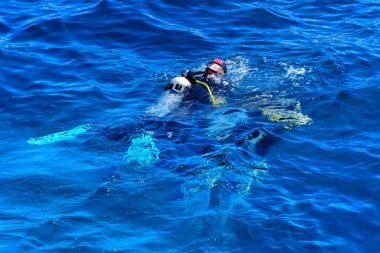 Dalgıçlar açık ve turkuaz Kızıldeniz daldırma güzel mercan ve renkli balık üzerinde. Öğretmen öğrenci suya daldırma kuralları öğretir.. 