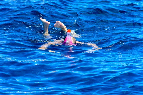 Turistas nadar no mar azul-turquesa transparente e ver belos peixes coloridos no fundo dos corais no Mar Vermelho . — Fotografia de Stock