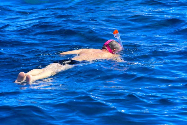 Toeristen zwemmen in de transparante turquoise zee en prachtige kleurrijke vissen zien op de achtergrond van koralen in de rode zee. — Stockfoto