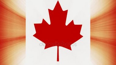 Yeni kalite benzersiz animasyonlu dinamik hareket neşeli renkli serin arka plan video görüntüleri Kanada bayrağı sallayarak sorunsuz döngü ile güneş ışık ışınları