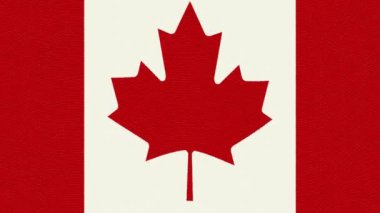 Yeni kalite benzersiz animasyonlu dinamik hareket neşeli renkli serin arka plan video görüntüleri Kanada bayrağı sallayarak kesintisiz döngü